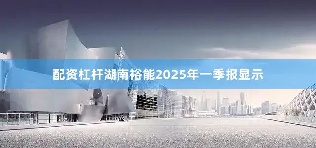 配资杠杆湖南裕能2025年一季报显示