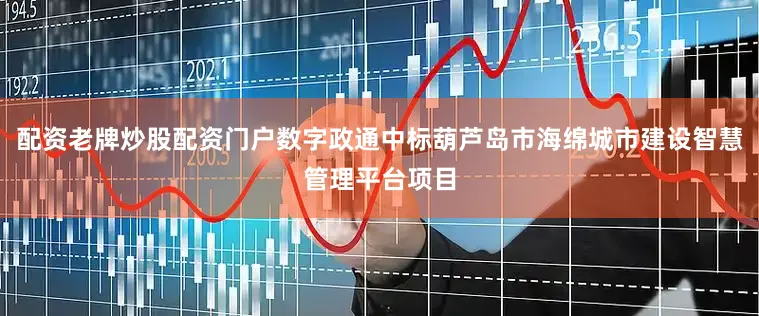 配资老牌炒股配资门户数字政通中标葫芦岛市海绵城市建设智慧管理平台项目