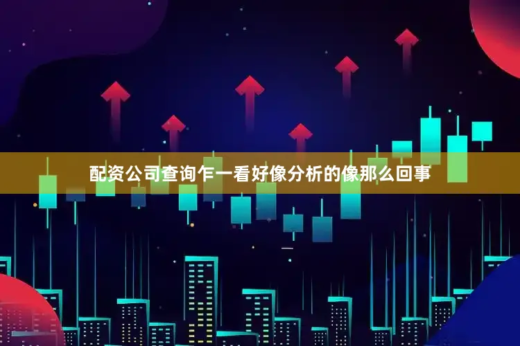 配资公司查询乍一看好像分析的像那么回事