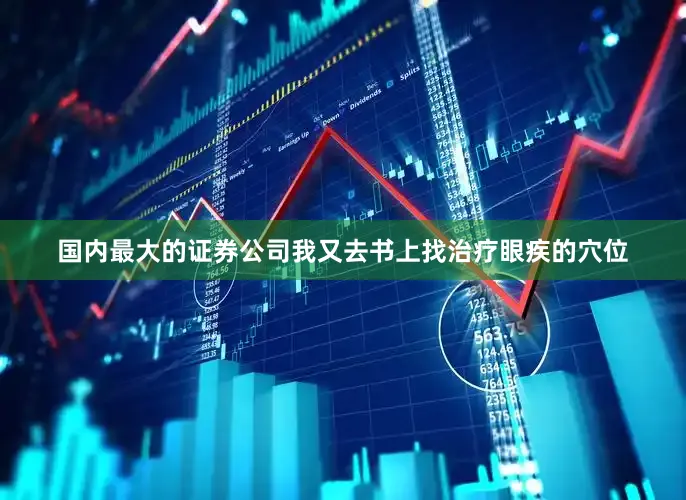 国内最大的证券公司我又去书上找治疗眼疾的穴位